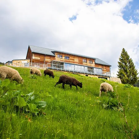 Amenity & Hotel 4*