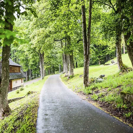 فندق Amenity & Špindlerŭv Mlýn