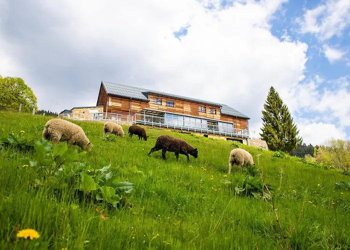 Amenity & Hotel 4*