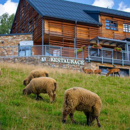 Hotell Amenity &
