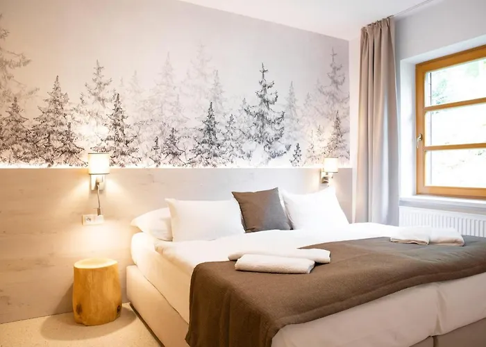 Amenity & Spindleruv Mlyn